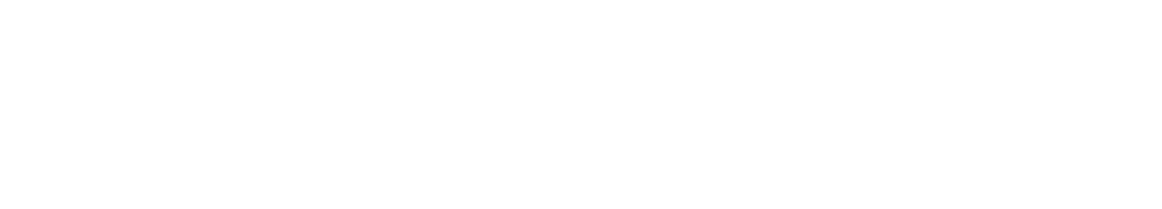 BIMRelay